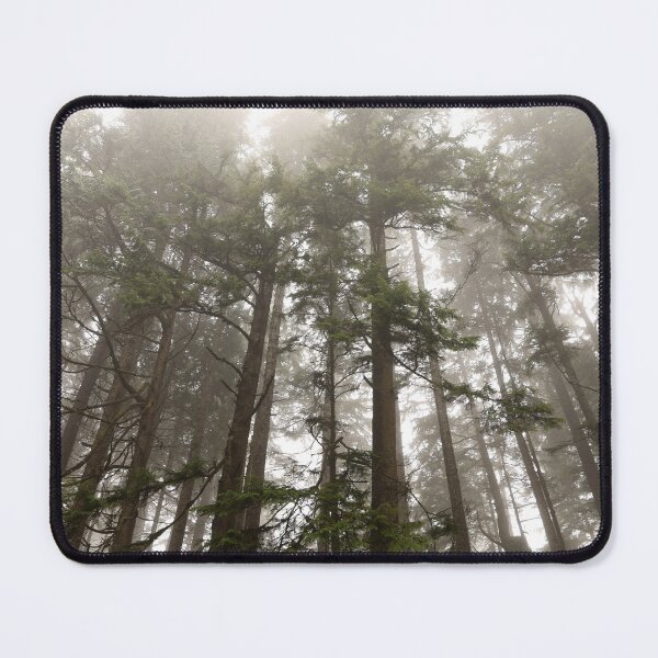 Item preview, Washington rainforest, perfect timing designed and sold by artsychickphoto.