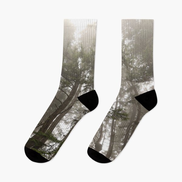 Item preview, Washington rainforest, perfect timing designed and sold by artsychickphoto.