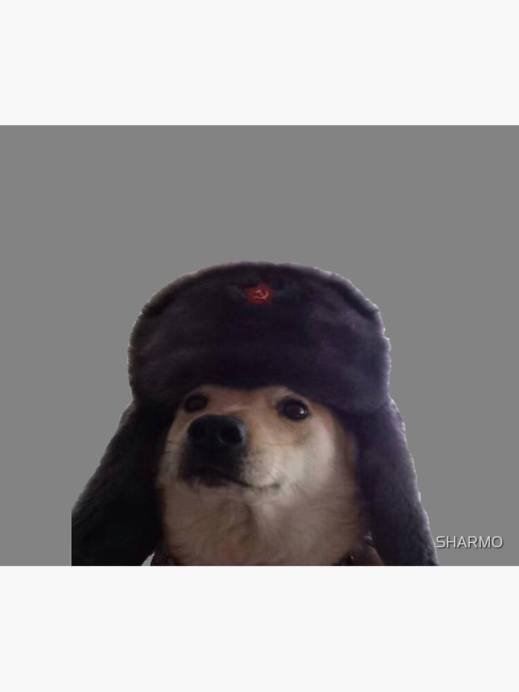 Dog russian hat best sale