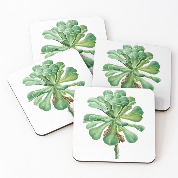 Item preview, Succulent Plant Sempervivum Canariense designed and sold by AngyDesigns49.