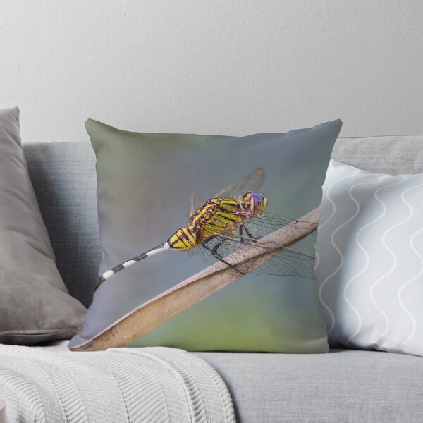 Item preview, Slender Skimmer Dragonfly designed and sold by Teale Britstra.