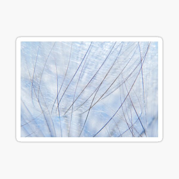Item preview, Fragility & Strength designed and sold by Laurie Minor.