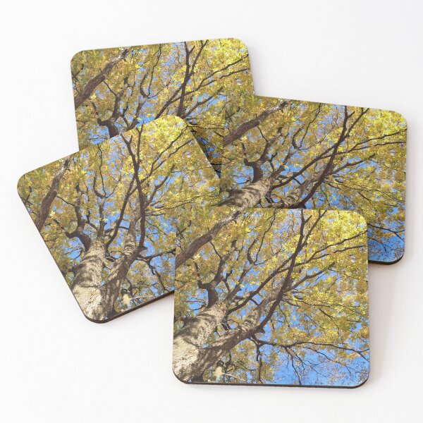 Item preview, Bright Lake County Park designed and sold by Southern Minnesota Guy.
