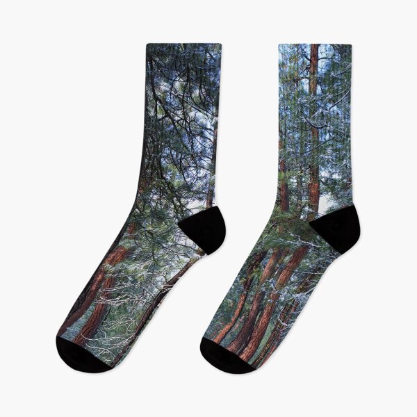 Item preview, Ponderosa Forest in snow 2 designed and sold by ImagesbyCharyn.