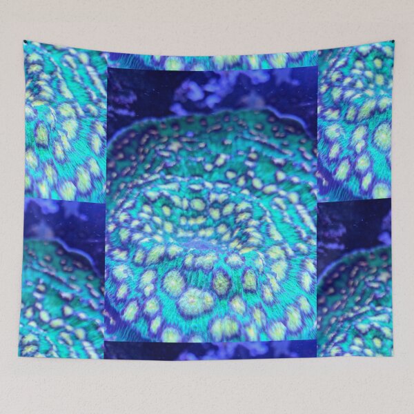 Item preview, Saltwater Soul designed and sold by Betsy Phillips.
