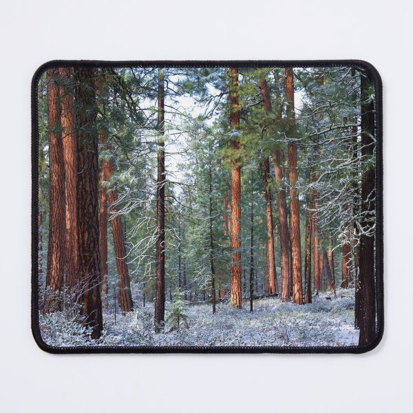 Item preview, Ponderosa Forest in Snow 3 designed and sold by ImagesbyCharyn.