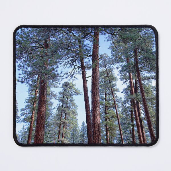 Item preview, Ponderosa Forest in Snow 4 designed and sold by ImagesbyCharyn.