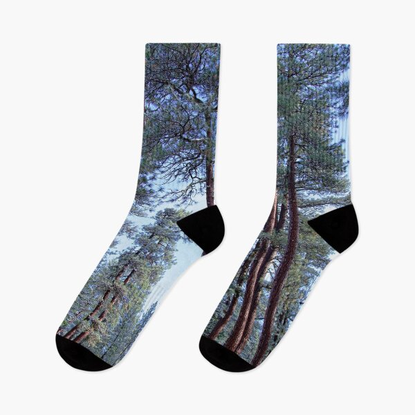Item preview, Ponderosa Forest in Snow 4 designed and sold by ImagesbyCharyn.
