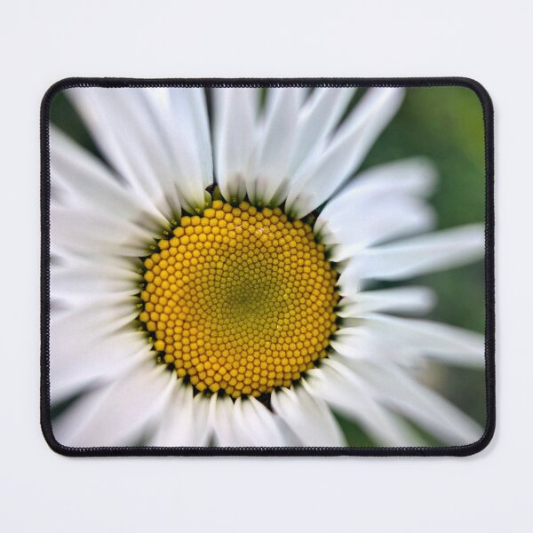 Item preview, Great River Bluffs State Park designed and sold by Designed by Southern Minnesota Guy.