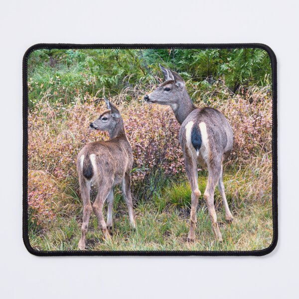Item preview, Mother Child Curiosity designed and sold by DawsonImages.