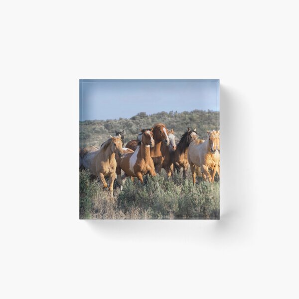 Item preview, Horses across the the landscape designed and sold by ImagesbyCharyn.