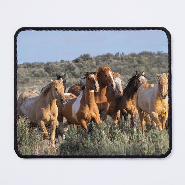 Item preview, Horses across the the landscape designed and sold by ImagesbyCharyn.