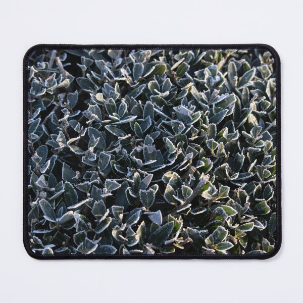 Item preview, Frosted Bush designed and sold by EyeRhein.
