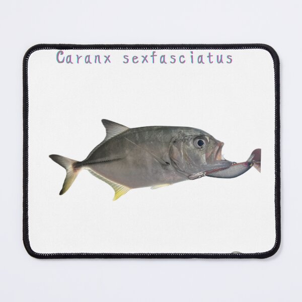 Item preview, No.033 Bigeye Trevally (Gingame Aji) | 100 Fish Species Art Project designed and sold by taichi69nz.