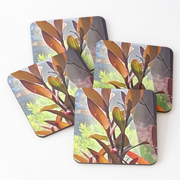 Item preview, Sunlit Tradescantia designed and sold by Oceandiana.