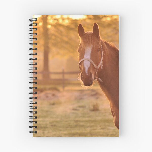 Item preview, Good Morning Whiskers! designed and sold by Kim McClain Gregal.