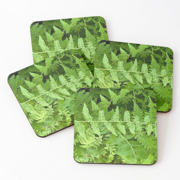 Item preview, Ferns in Whiting Park, Charlevoix County, MI designed and sold by Aye Chihuahua.