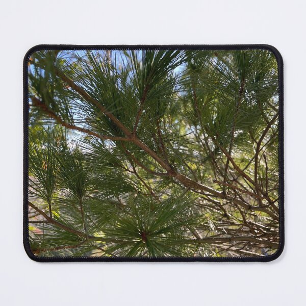 Item preview, Magestic White Pine in the Porkies at Lake of the Clouds designed and sold by Aye Chihuahua.