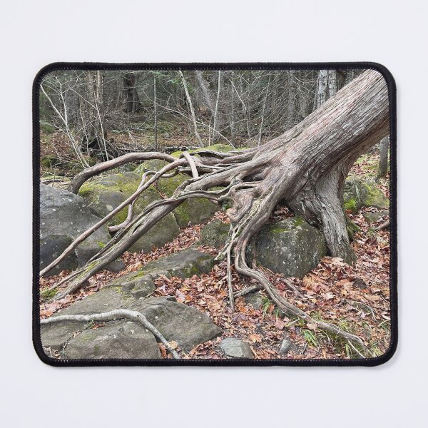 Item preview, The Struggle for Existance - Nature Finds a Way designed and sold by Aye Chihuahua.