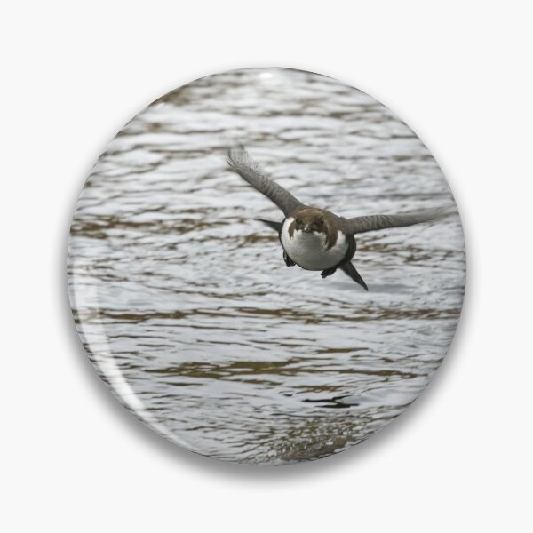 Item preview, On the fly. White-throated dipper designed and sold by Jouko Lehto Photography.