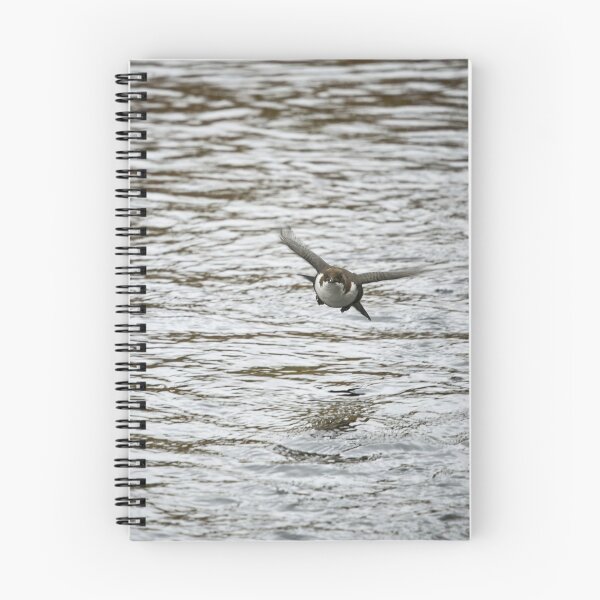 Item preview, On the fly. White-throated dipper designed and sold by Jouko Lehto Photography.