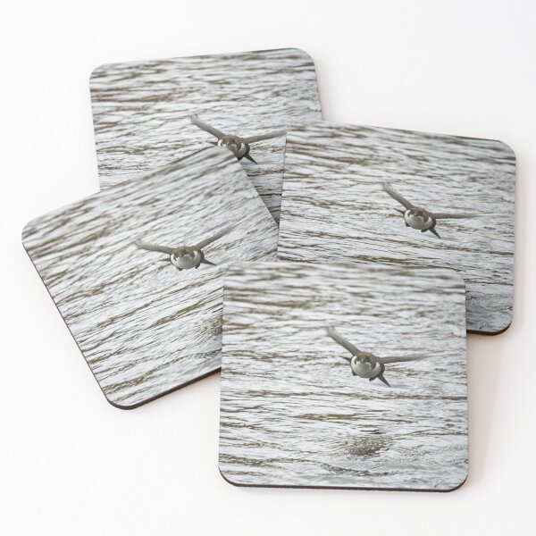 Item preview, On the fly. White-throated dipper designed and sold by Jouko Lehto Photography.