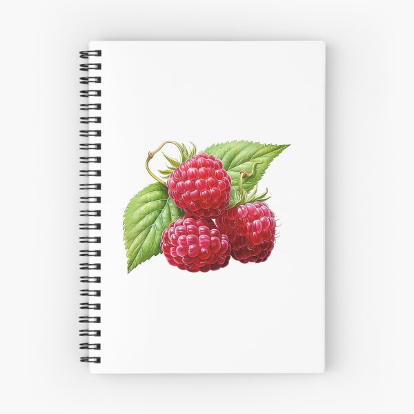 Item preview, "Raspberries | Raspberries Sticker | Sweet Berry Aesthetic Art" designed and sold by Mandayartstudio.