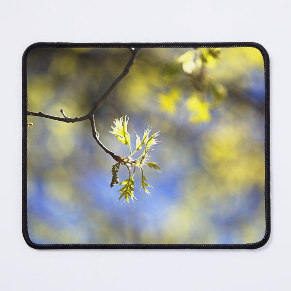 Item preview, Spring Leaves on a Branch designed and sold by Joy Watson - Natural Light Photography .