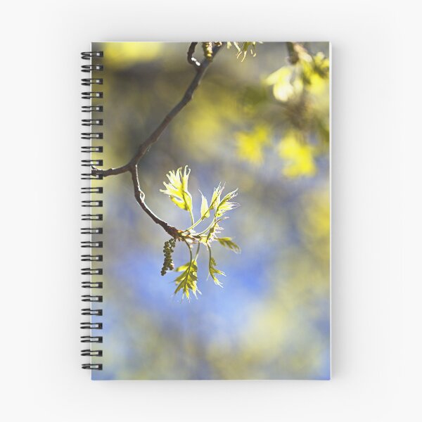 Artikelvorschau, Frühlingsblätter an einem Zweig entworfen und verkauft von Joy Watson - Natural Light Photography .