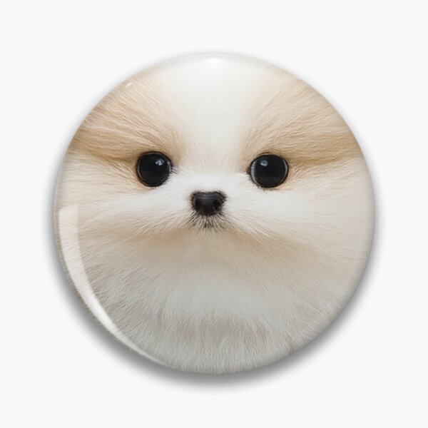 Item preview, Cute Adorable Pomeranian designed and sold by The Art by Rossouw.