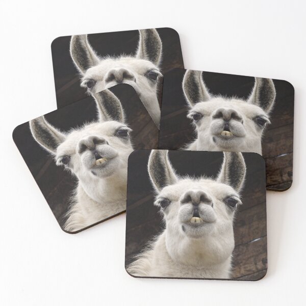 Item preview, Llama Drama – I've got my eye on you designed and sold by Bonito-67.