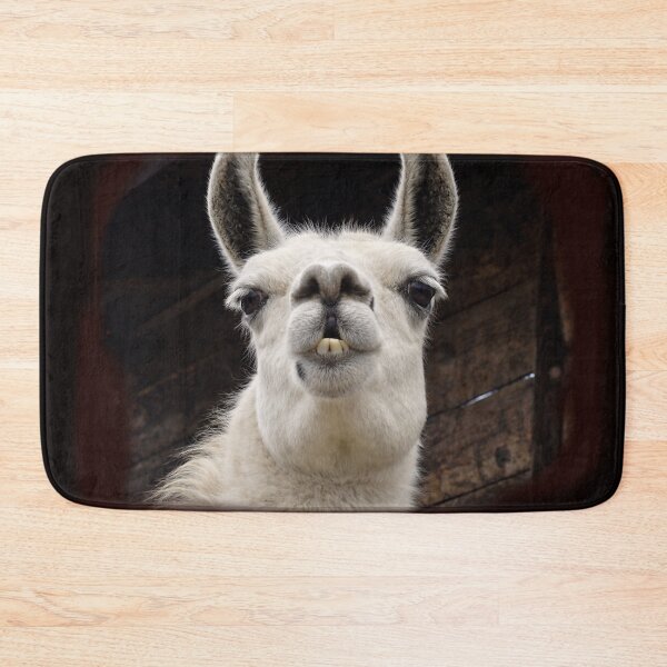 Item preview, Llama Drama – I've got my eye on you designed and sold by Bonito-67.