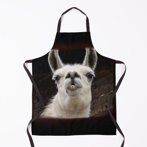 Item preview, Llama Drama – I've got my eye on you designed and sold by Bonito-67.