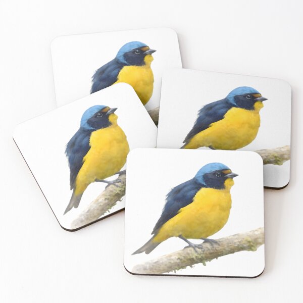 Item preview, Antillean Euphonia (Euphonia musica) designed and sold by HOMETOWN86.