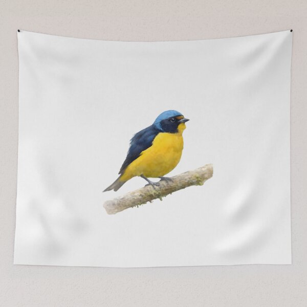 Item preview, Antillean Euphonia (Euphonia musica) designed and sold by HOMETOWN86.