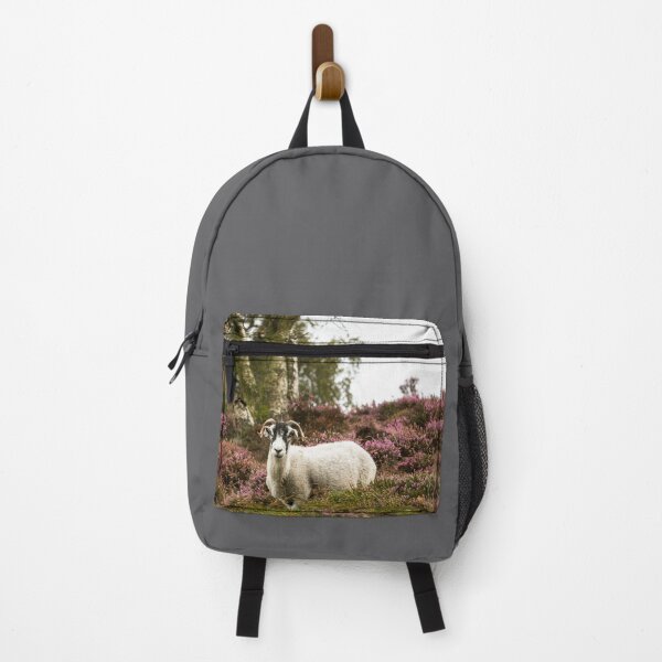Item preview, Swaledale Sheep on Moorland designed and sold by Jane Stanley Photography.