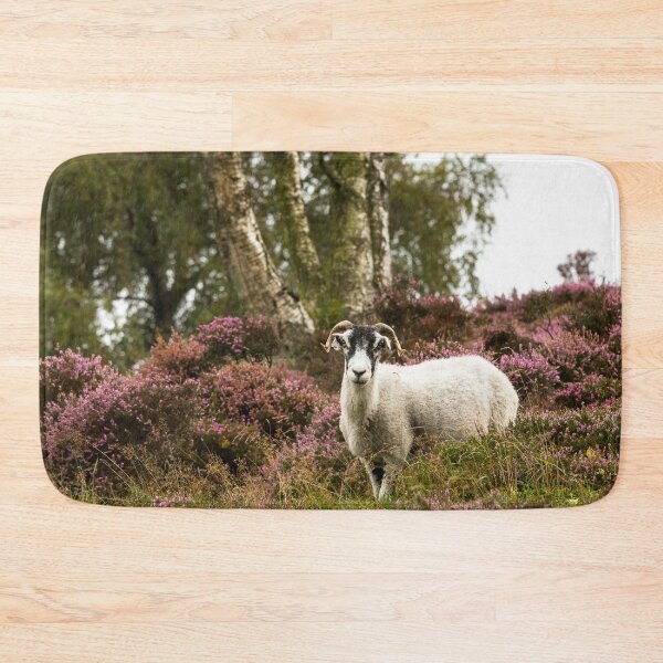 Item preview, Swaledale Sheep on Moorland designed and sold by Jane Stanley Photography.
