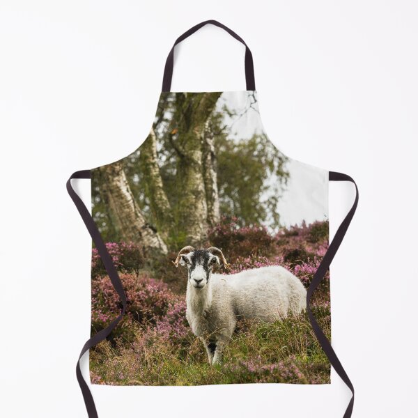 Item preview, Swaledale Sheep on Moorland designed and sold by Jane Stanley Photography.