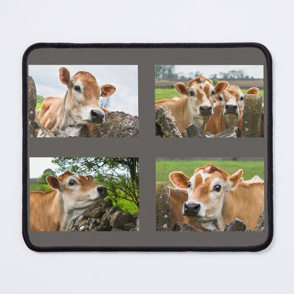 Item preview, Jersey Cow Collection designed and sold by Jane Stanley Photography.