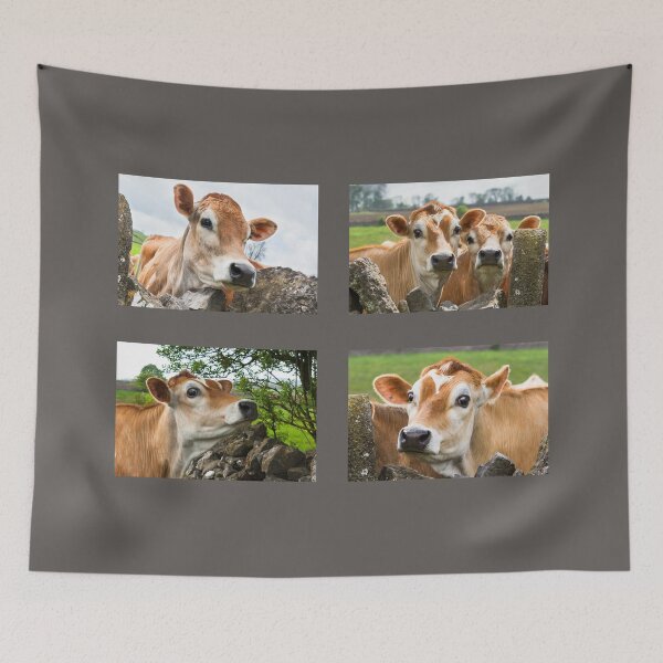 Item preview, Jersey Cow Collection designed and sold by Jane Stanley Photography.