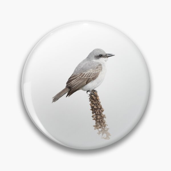 Item preview, Gray Kingbird (Tyrannus dominicensis) designed and sold by HOMETOWN86.