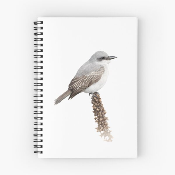 Item preview, Gray Kingbird (Tyrannus dominicensis) designed and sold by HOMETOWN86.