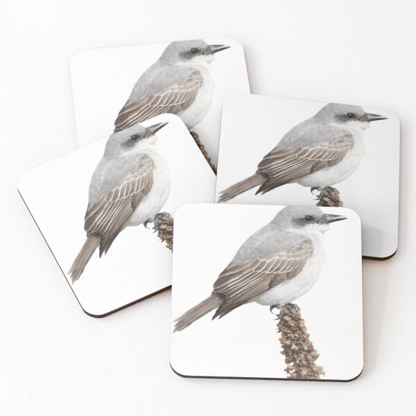Item preview, Gray Kingbird (Tyrannus dominicensis) designed and sold by HOMETOWN86.