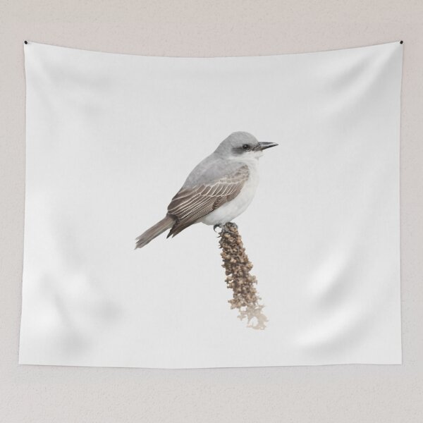 Item preview, Gray Kingbird (Tyrannus dominicensis) designed and sold by HOMETOWN86.