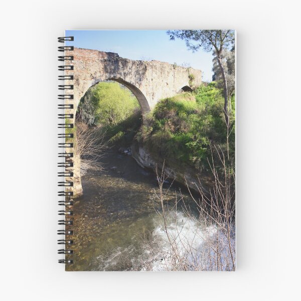 Item preview, River Bridge Panorama designed and sold by Enigmatrix.