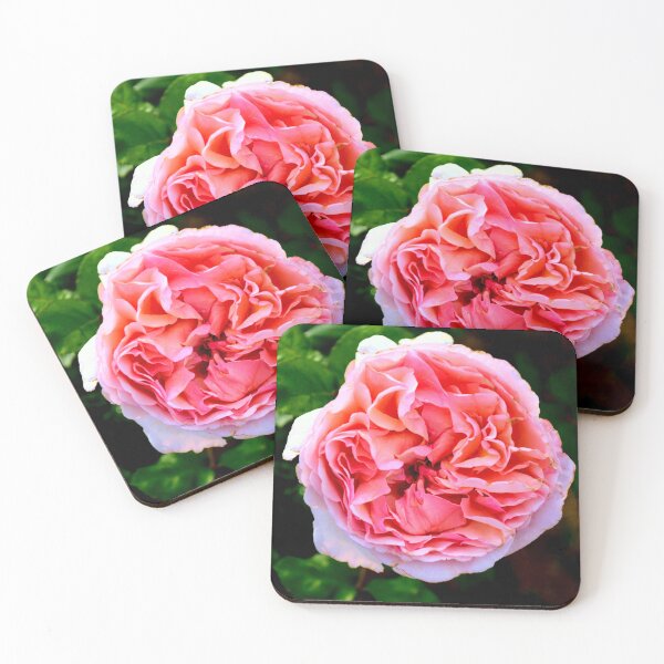 Item preview, Vibrant Pink Rose Bloom designed and sold by MercerImages.
