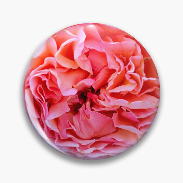 Item preview, Vibrant Pink Rose Bloom designed and sold by MercerImages.