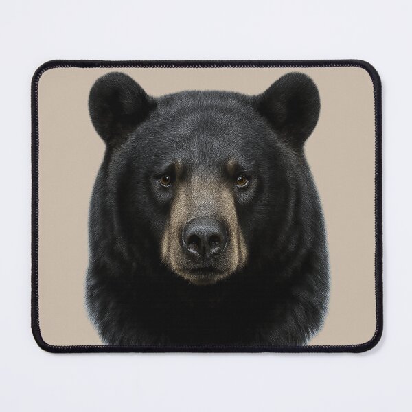 Item preview, Black Bear Face – Realistic Wildlife Portrait Illustration designed and sold by BROHLine Studio.