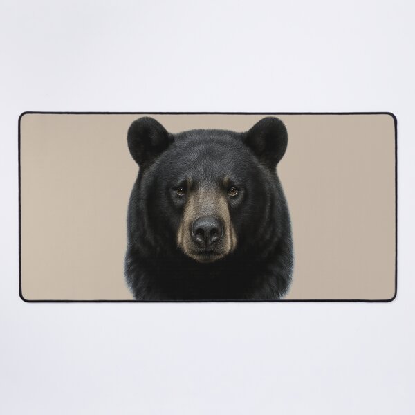 Item preview, Black Bear Face – Realistic Wildlife Portrait Illustration designed and sold by BROHLine Studio.