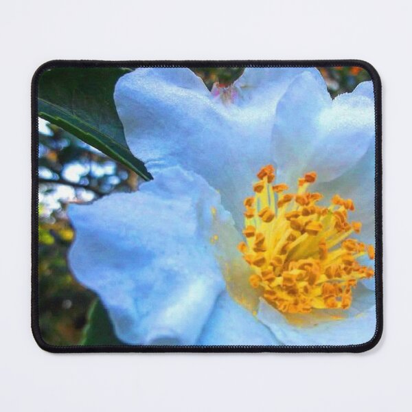 Item preview, Warm White Begonia designed and sold by Trisha North.
